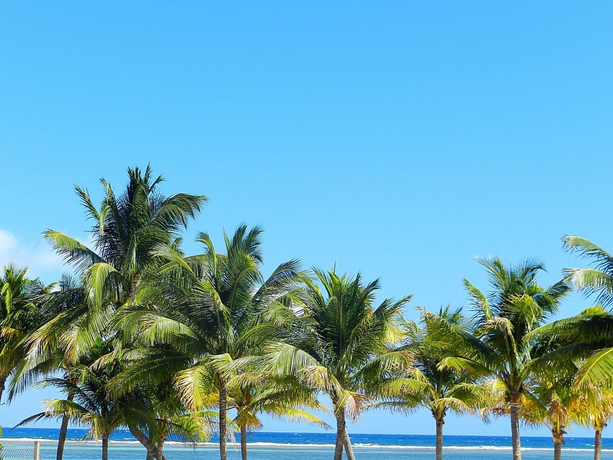 Palmeras De Mahahual Cabanas Exterior foto